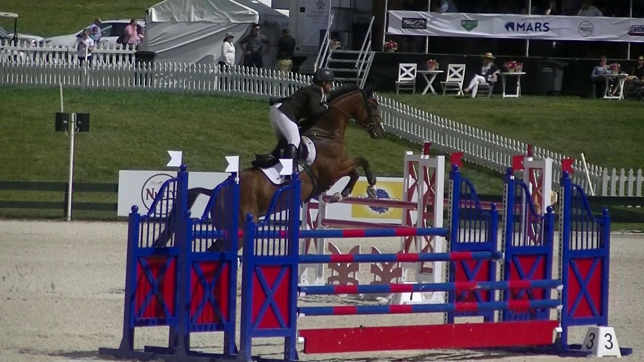 Buck Davidson & Errol Goby CCI 4S SJ
