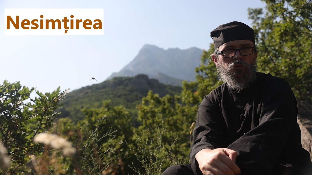 Nesimțirea - p. Teologos