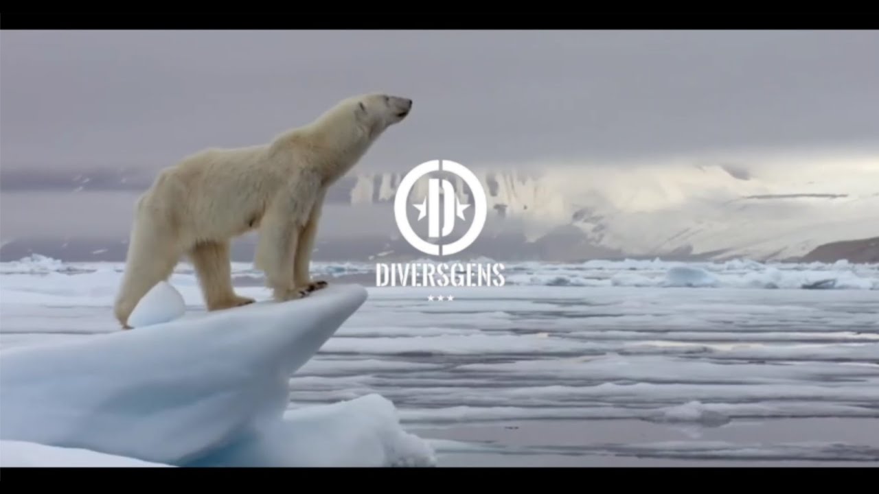 DIVERSGENS - Ours Polaire (Official Video)