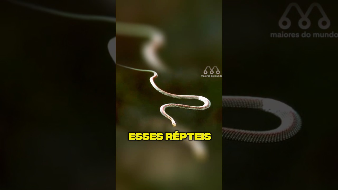 COBRAS QUE VOAM??