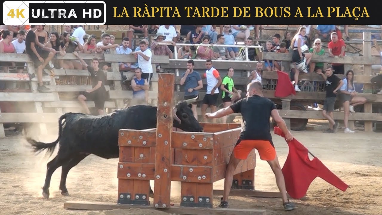 LA RÀPITA TARDE DE BOUS À LA PLAÇA 28.07.2023 🇪🇸🐮