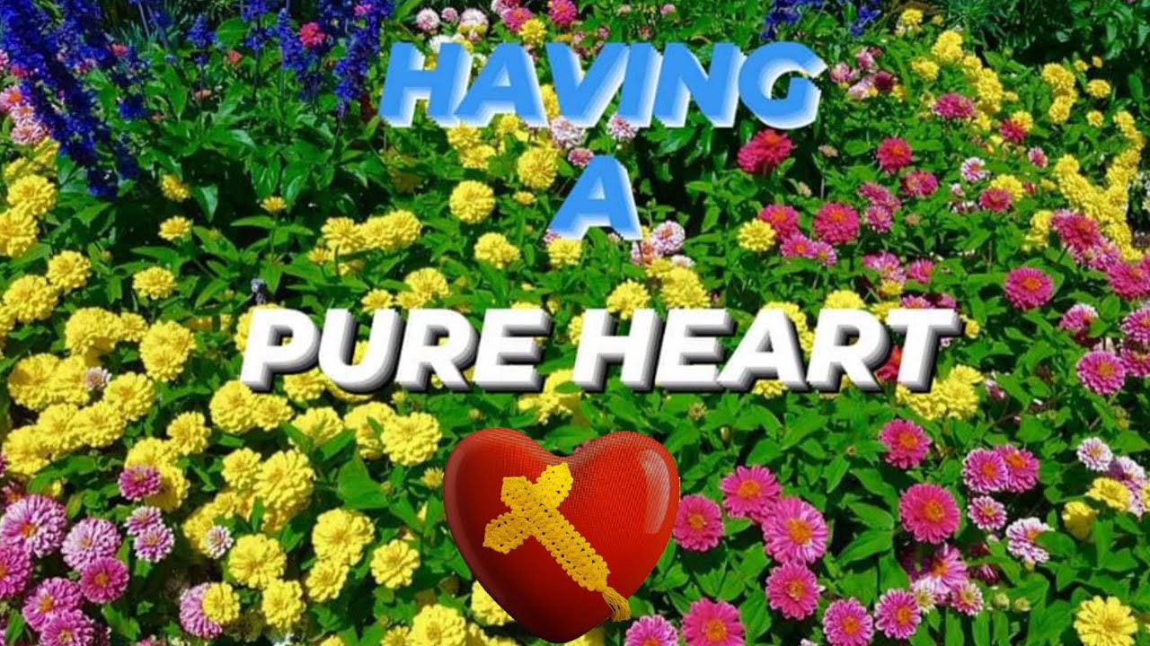 HAVING A PURE HEART
