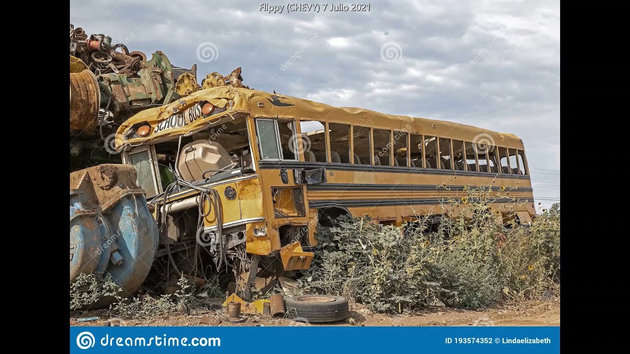 Autobuses Abandonados (20) - Reset