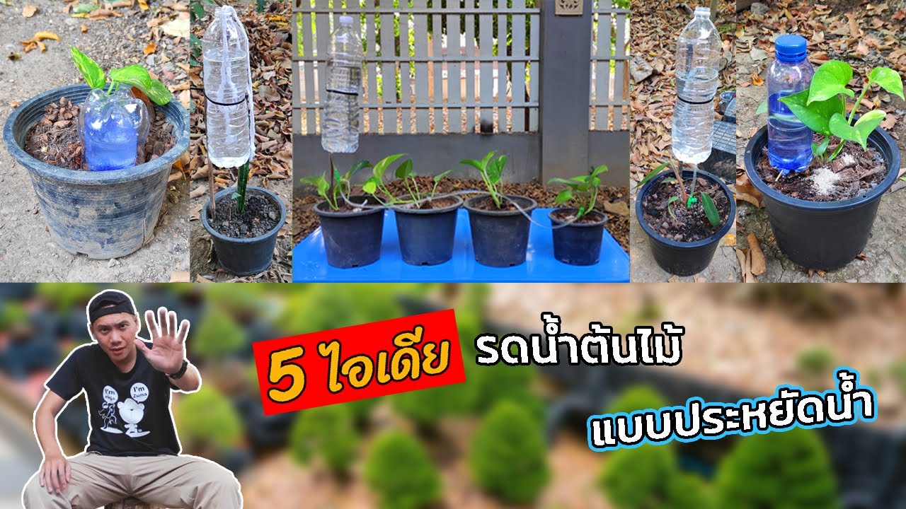 5 ไอเดีย diy ขวดพลาสติก เป็นที่รดน้ำต้นไม้ แบบประหยัดน้ำ