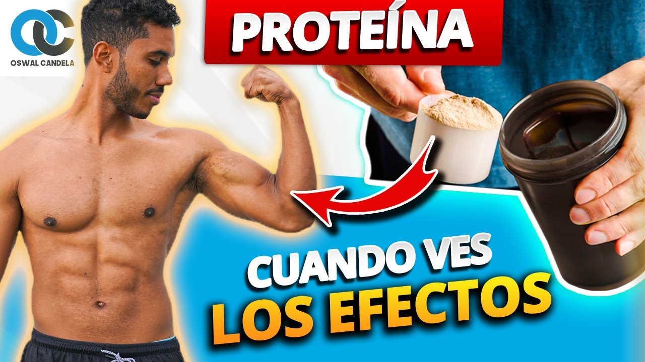 PROTEÍNA ¿Cuándo se ven los resultados? Guía completa