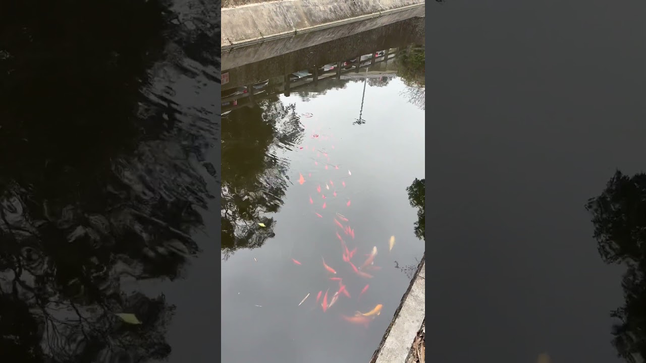 Conghua Hot Spring, Guangzhou