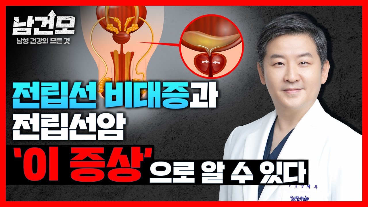 전립선비대증과 전립선암 '이렇게' 다르다, 전립선 질환 총정리! | 남성 건강의 모든 것