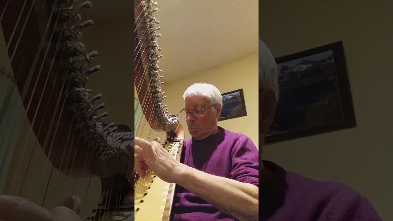 les canons de Pachelbel, harpe celtique