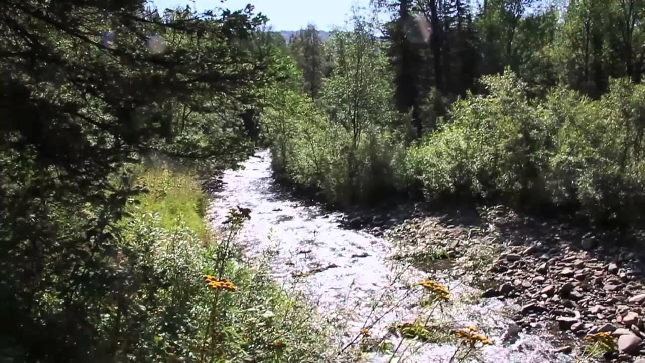 2/2. Таскыл. АТАКА МЕДВЕДИЦЫ, охотничья Изба, встреча с медведицей, поход