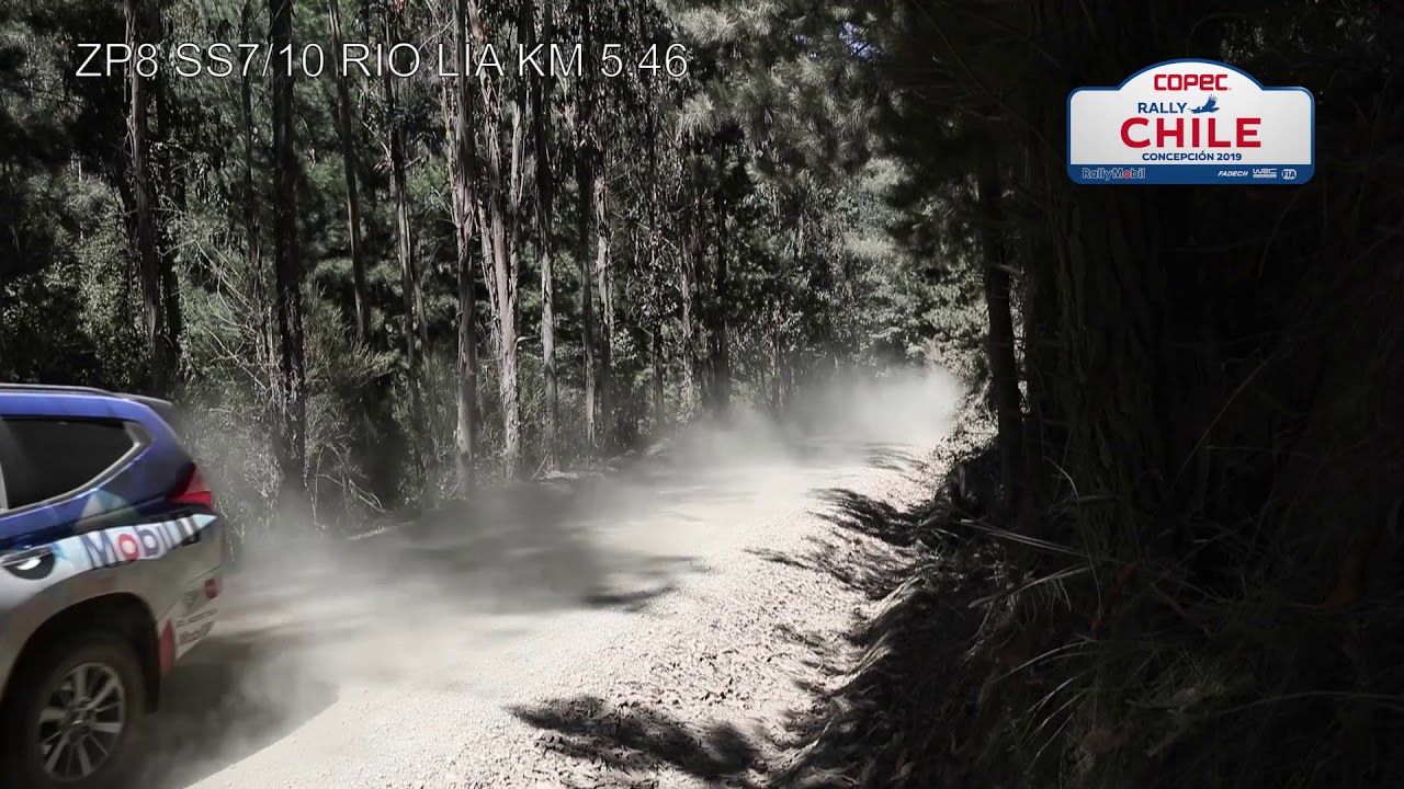ZP8   VIDEO   RIO LIA