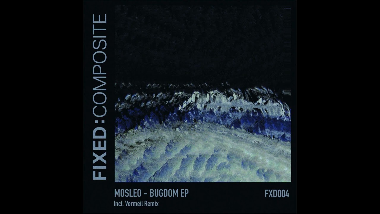 Mosleo - No Cam Era [FXD004]