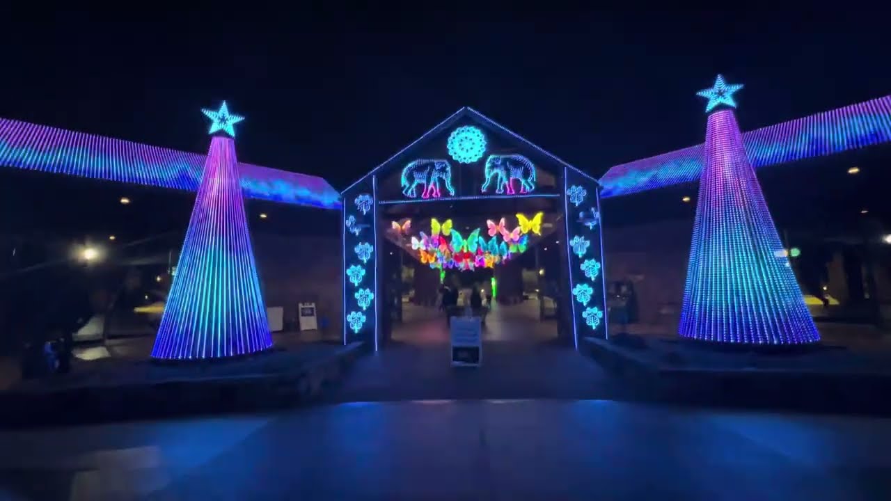 Okc zoo safari lights ‘24