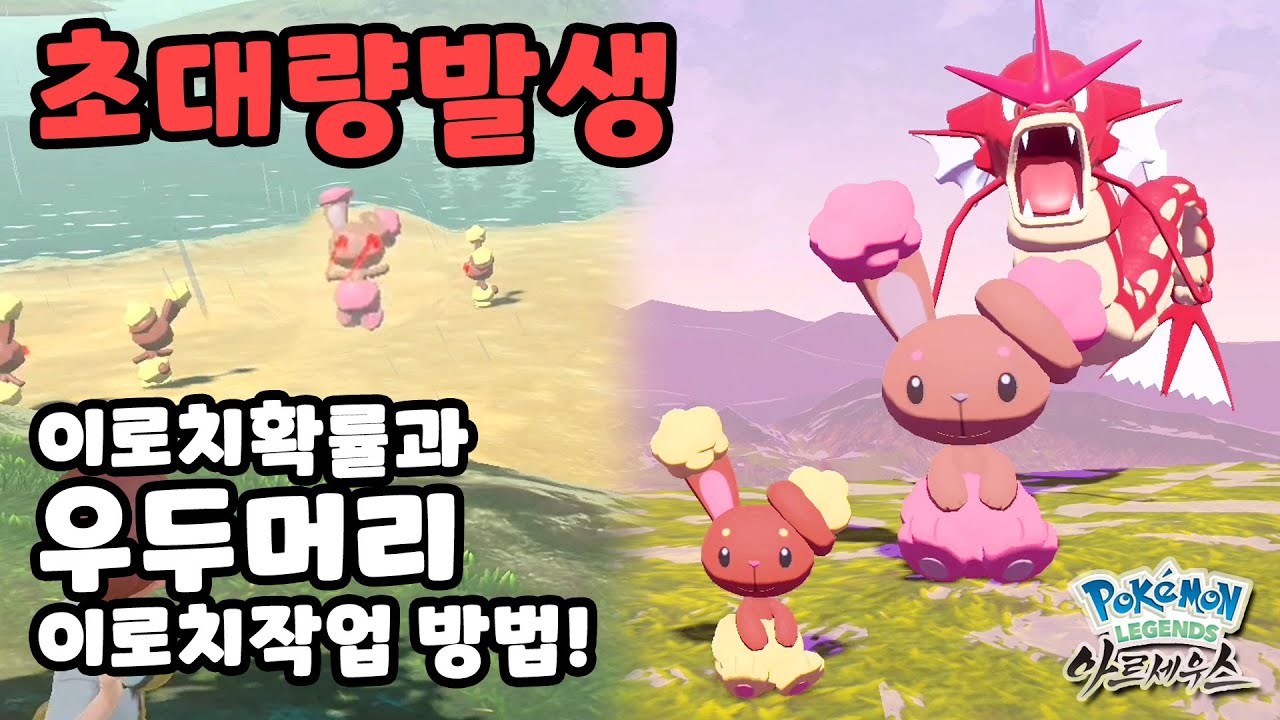 초대량발생 이로치  확률 및 우두머리 이로치 작업! l 포켓몬 레전드 아르세우스