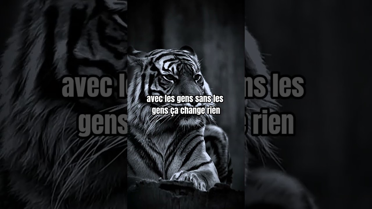 #alpha