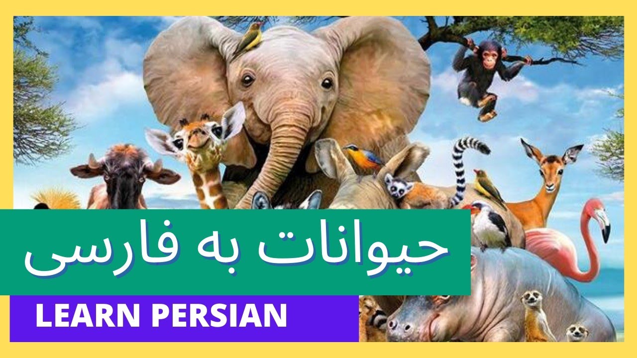 Animals Name In Persian_ حیوانات وحشی به فارسی#حیوانات#persianvocabulary#viralvideo#education