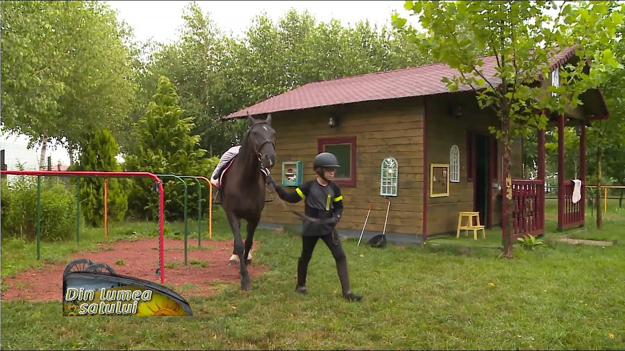 Ferma pedagogică lângă București