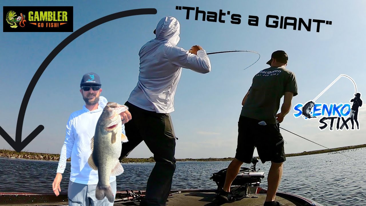 Lake Okeechobee POPPED OFF for these 3 hours! (24+LBS)