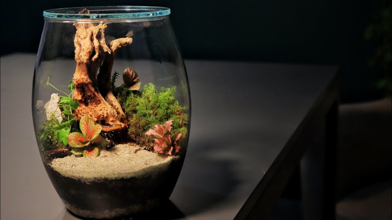 Creating a Magical Moss Terrarium — Step-by-Step Guide