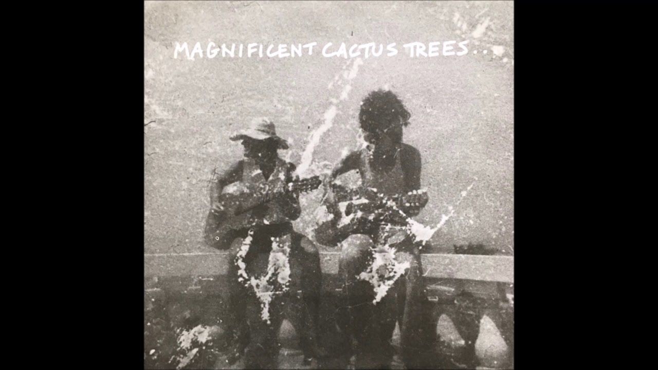 Tony Sinden, Alan Baker & The Insects &lrm;&ndash; Magnificent Cactus Trees...  (1979)