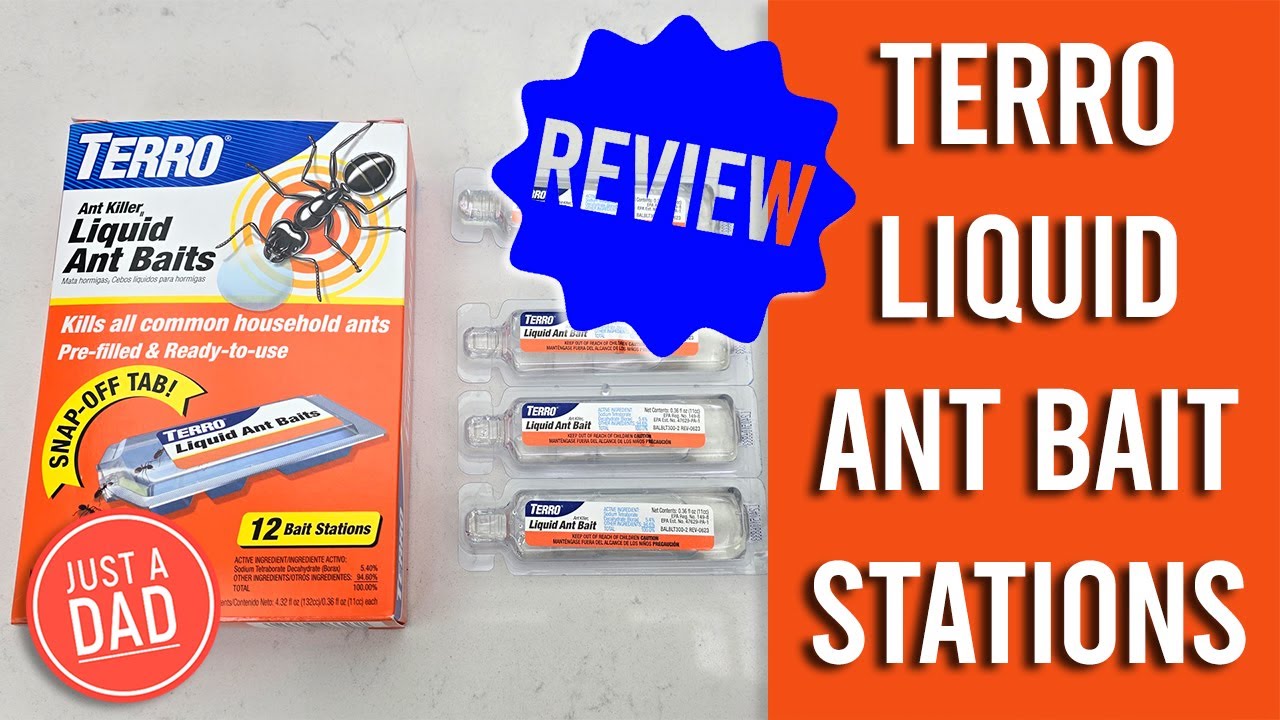 TERRO Liquid Ant Bait Station Review and How to Use  Works GREAT