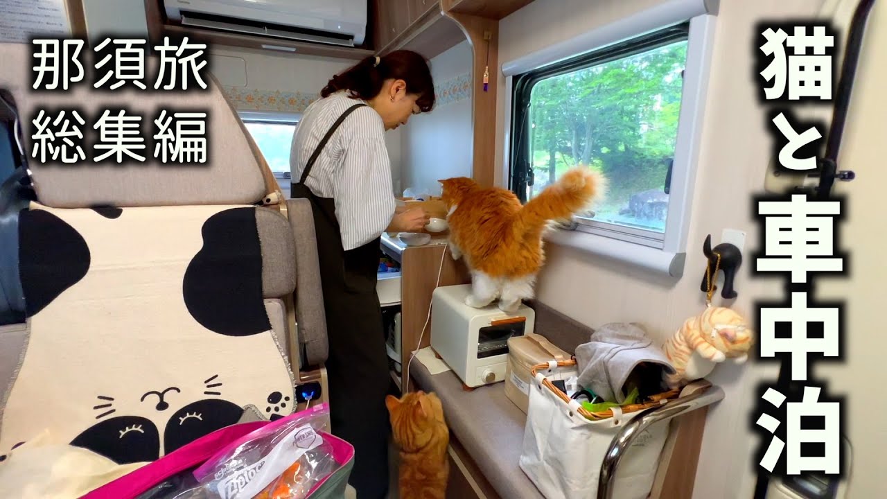 【猫と車中泊】那須旅・総集編