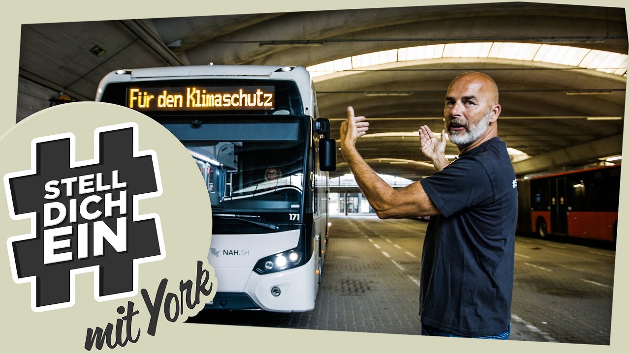 #Stelldichein mit York bei der Kieler Verkehrsgesellschaft KVG | Folge 32