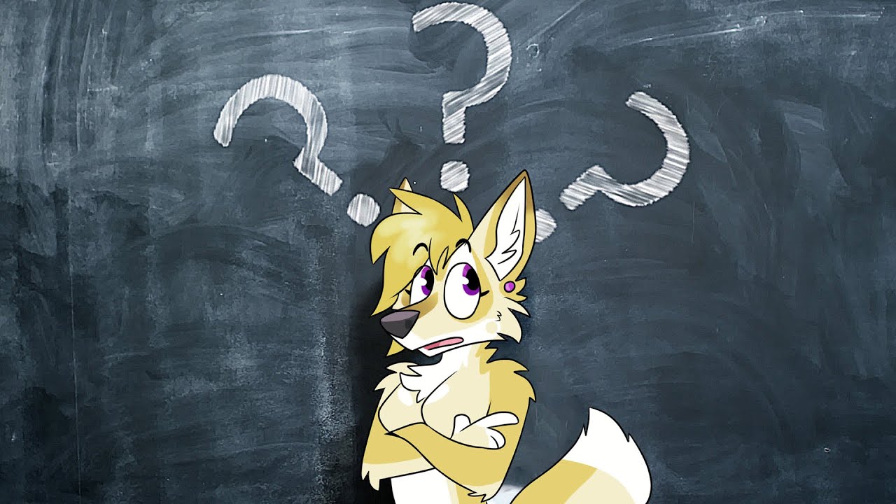 FURRY Q&A
