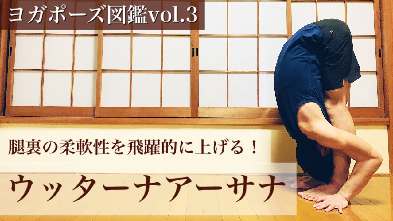 【ヨガポーズ図鑑vol.3：ウッターナアーサナ】腿裏の柔軟性を安全に上げるには？