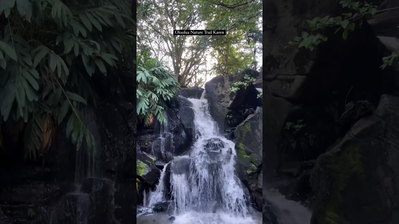 OLOOLUA NATURE TRAIL, KAREN. #shortvideo #youtube #nature #nairobi nairobi #kenya
