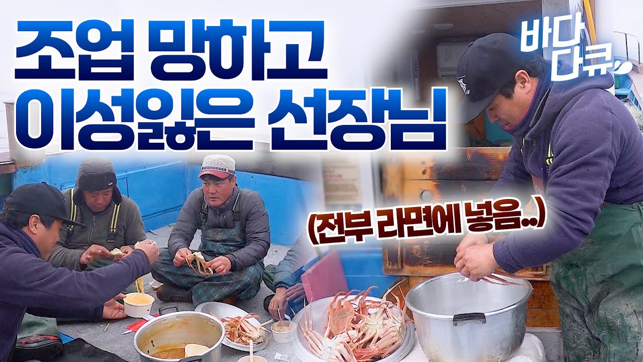 대게잡이 조업 망하더니 통째로 라면에.. 밥 진짜 잘 챙기는 선장님이랑 배 타면 벌어지는 일 / #바다다큐