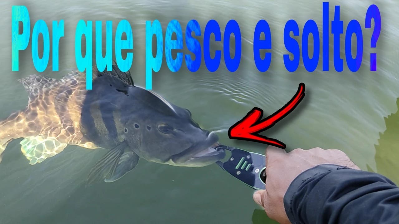 Pesca esportiva! &Eacute; MUITA EMO&Ccedil;&Atilde;O.