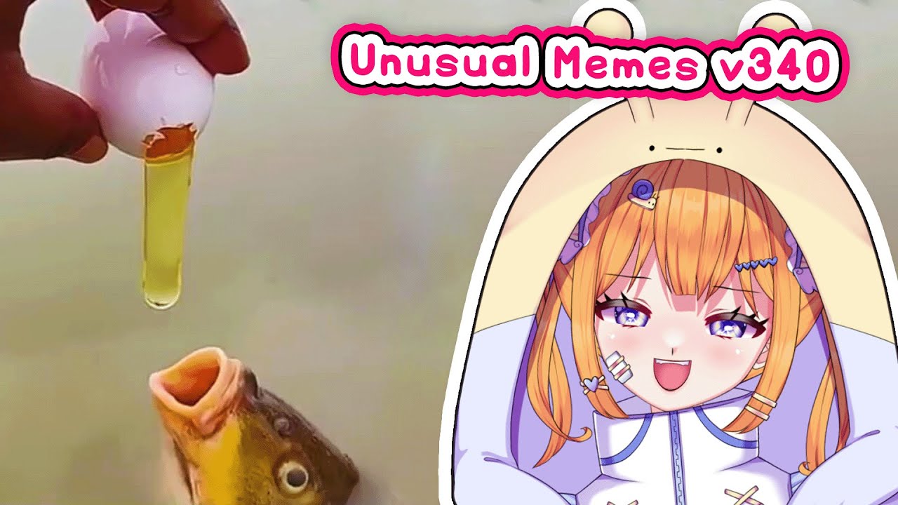 MEMES that made me GIGGLE | mipyun reacts to UNUSUAL MEMES COMPILATION V340