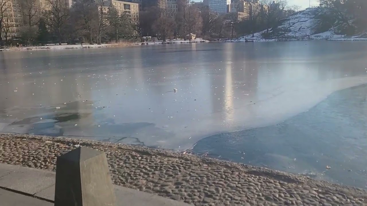 Look at the beautiful Central Park 110st. 2026