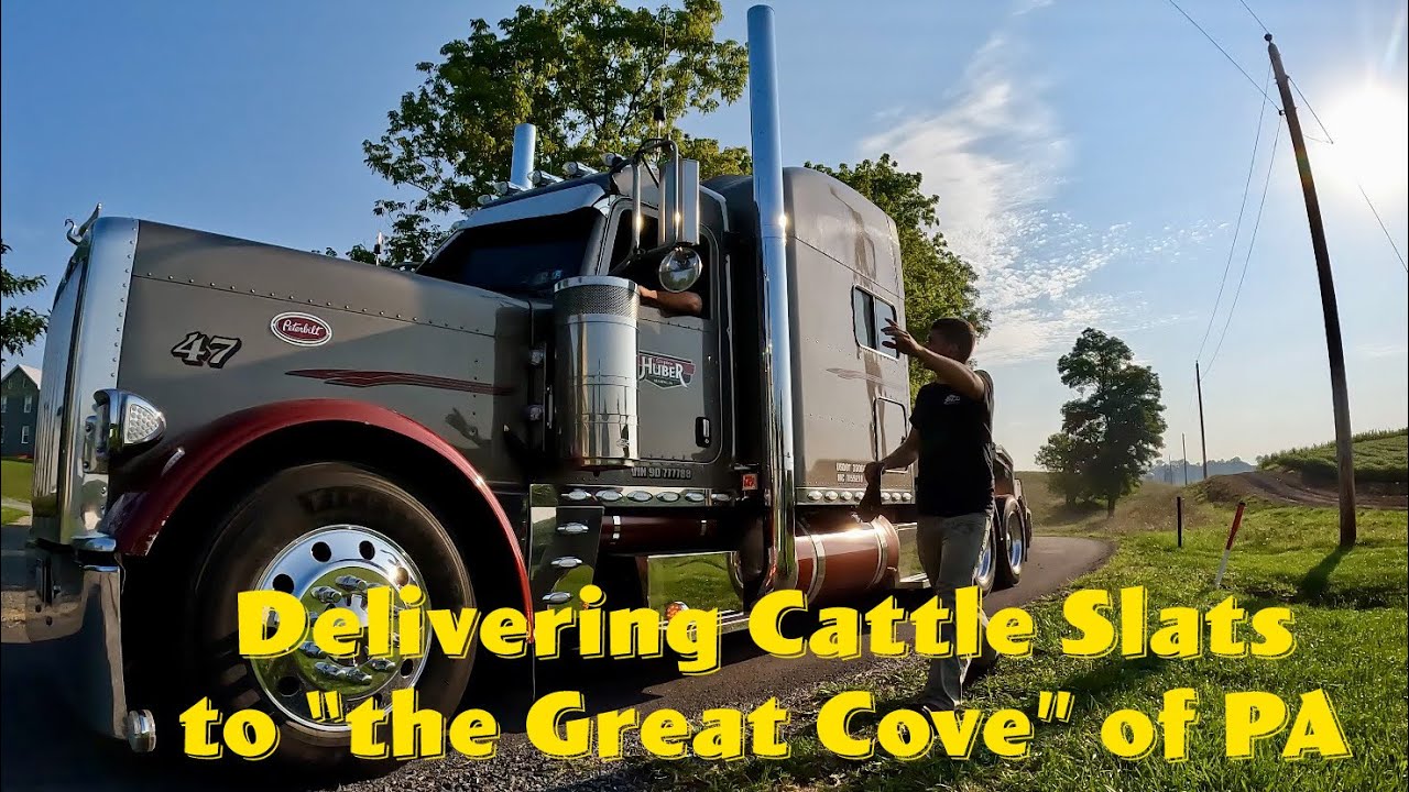 Me and My Peterbilt Trucking Cattle Slats to The Cove 🇺🇸    Beautiful Countryside Scenery