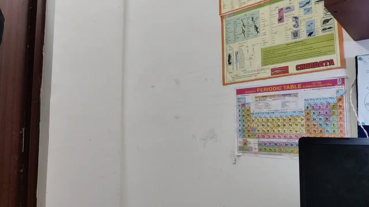 testing live stream