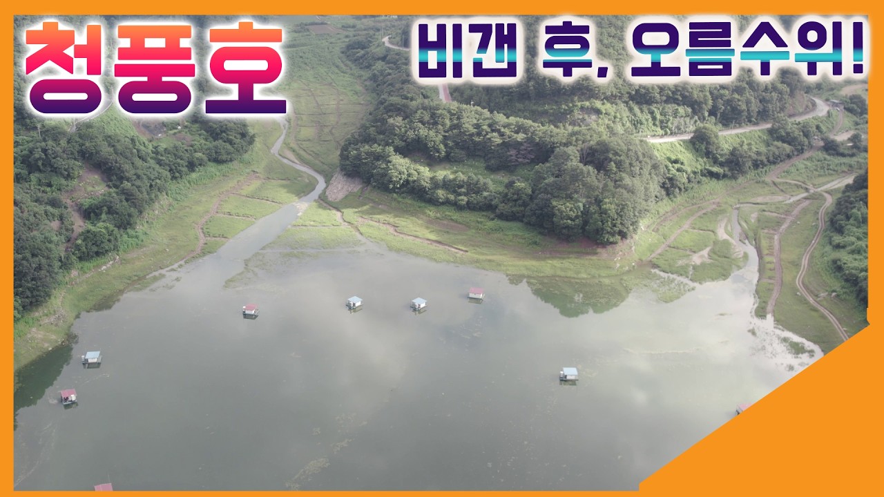 비갠 후, 청풍호, 충주호, 오름수위, 허리급, 사오리낚시터, 지금이 최고의 타이밍이다!