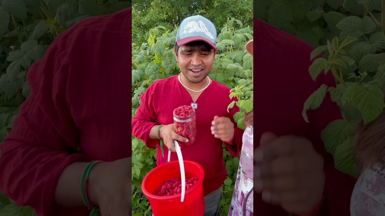 Russian villager’s farming life ! 