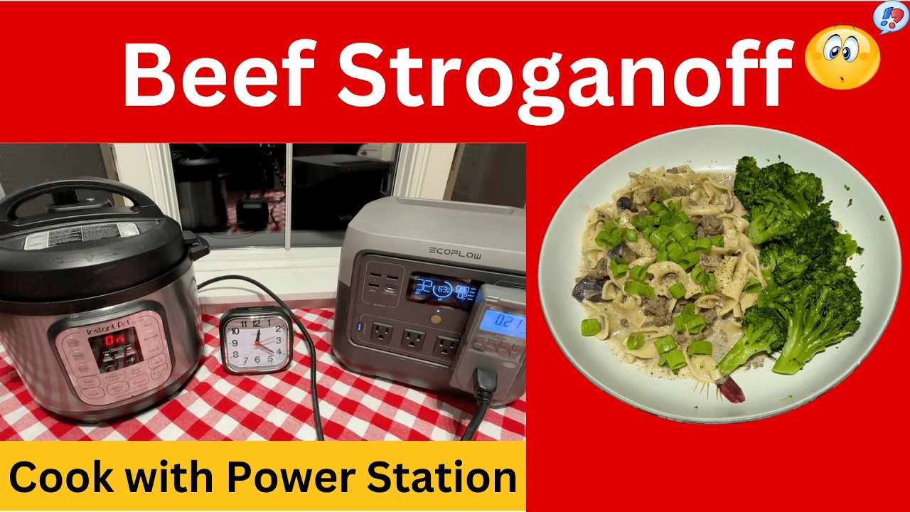 Instant Pot Beef Stroganoff Under $2.50?!  Power Station Cooking!