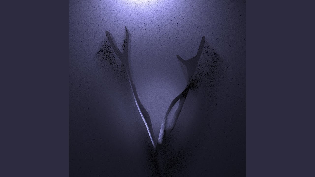 Void