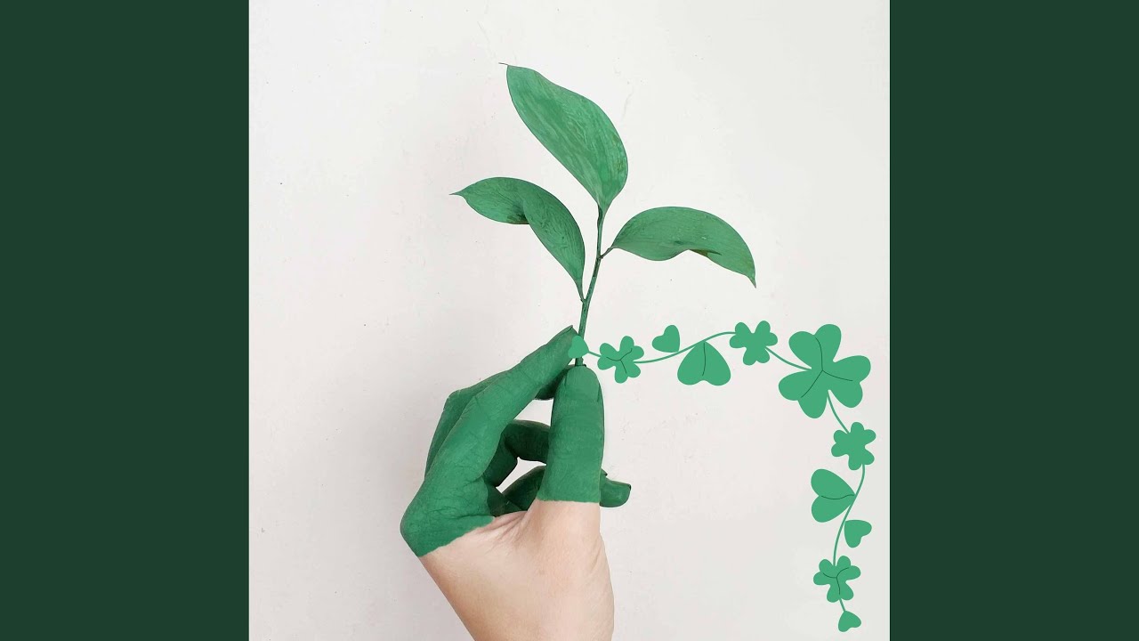 Spectacular Backdrops for Cool Dinner Party