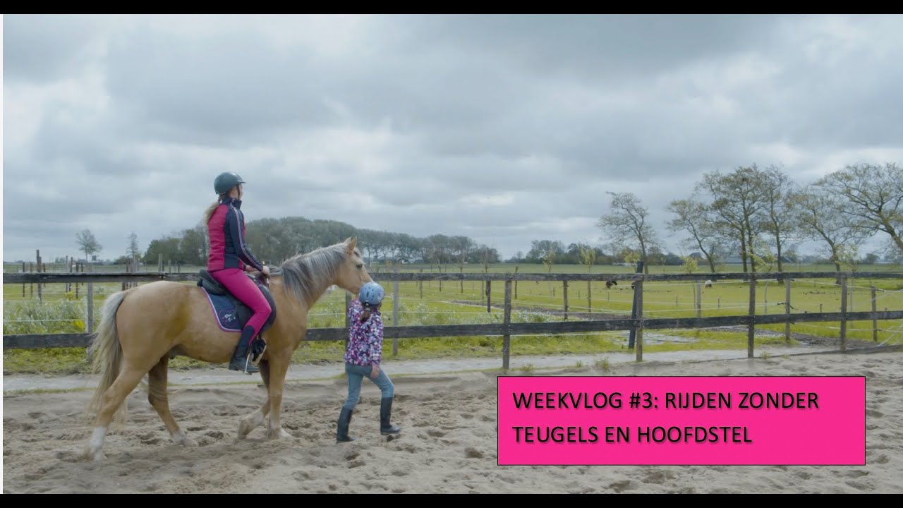 Weekvlog #3: Rijden zonder teugels en hoofdstel