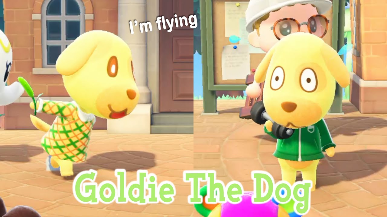 Goldie The Dog Normal Villager Animal Crossing New Horizons ACNH