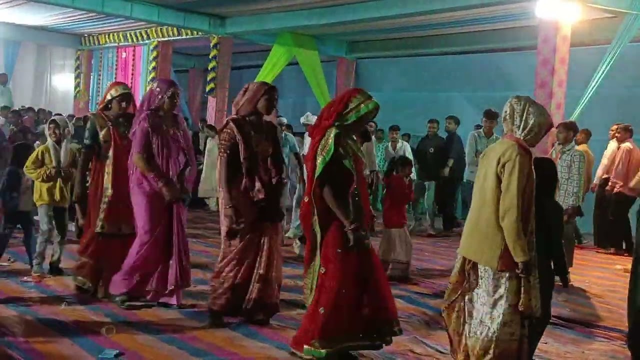 #timlidance 