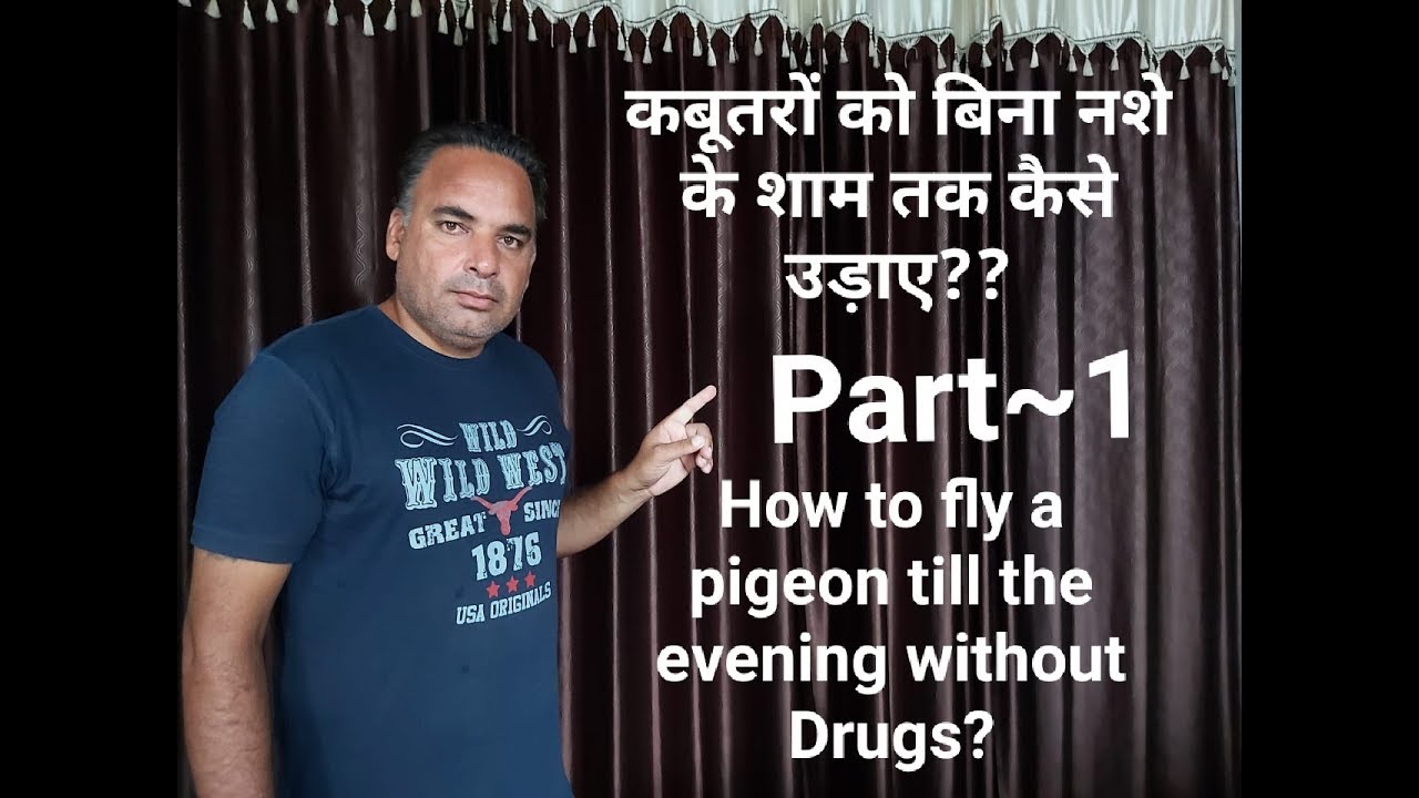 कबूतर को बिना नशे के शाम तक कैसे उड़ाए?? How to fly a pigeon till the Evening without Drugs? (Part~1)