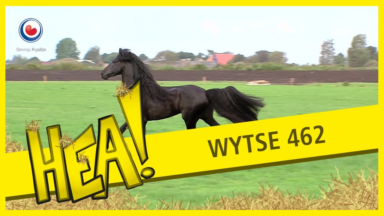 HEA! Wytse 462