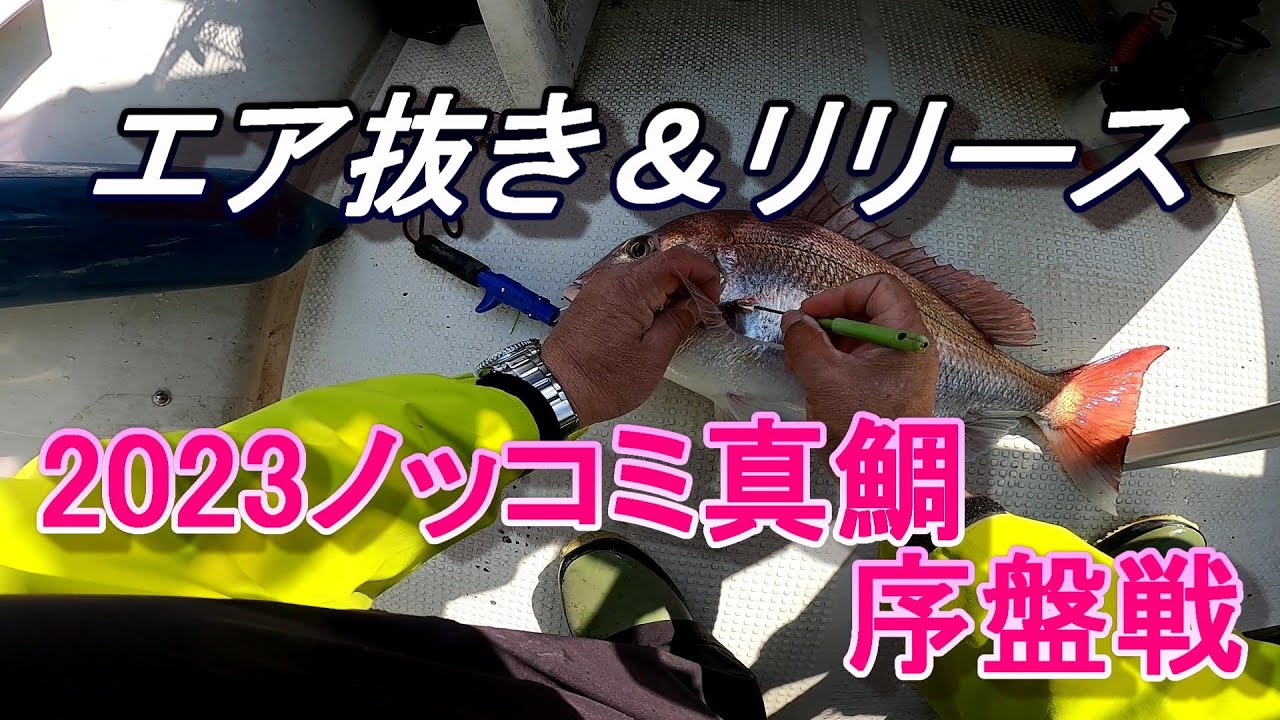 2023ノッコミ真鯛序盤戦　乗せ＆早掛け