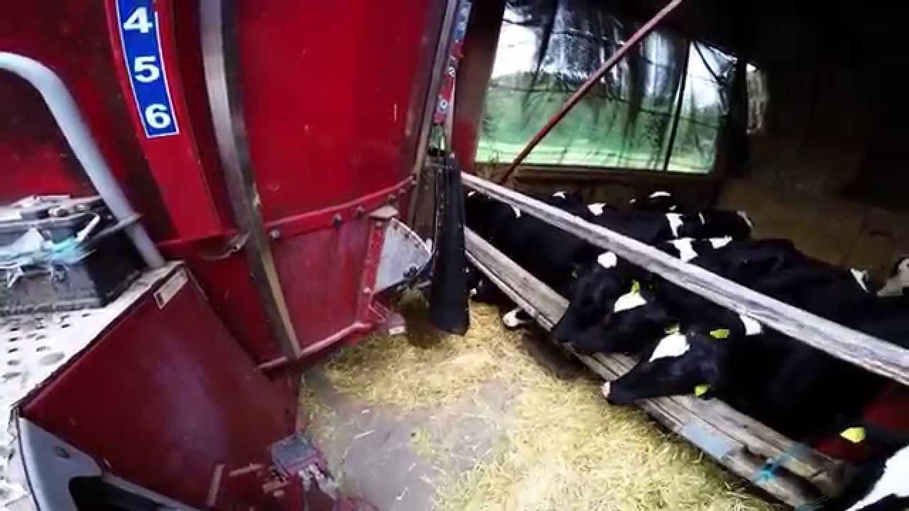 [GoPro] Feeding the cows - Valtra N121 Valtra 8050 and JF stoll feeder Danish Agriculture 2015