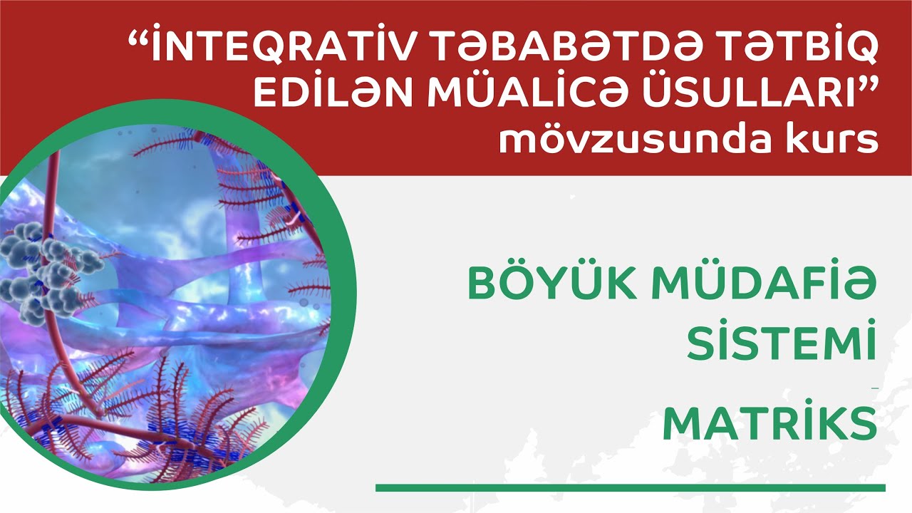 Mühazirə 3. Böyük müdafiə sistemi. Matriks.