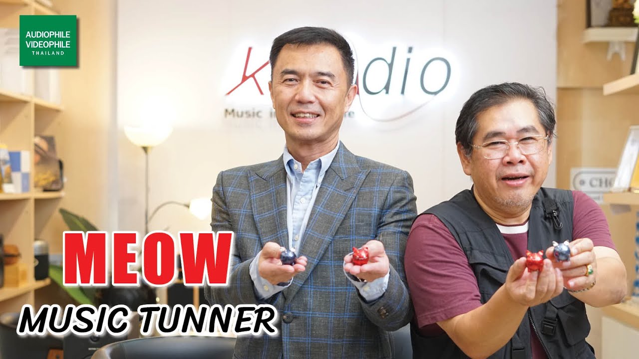 MEOW Music Tuner อุปกรณ์ในการจัดการกับกราวด์ของไฟฟ้า