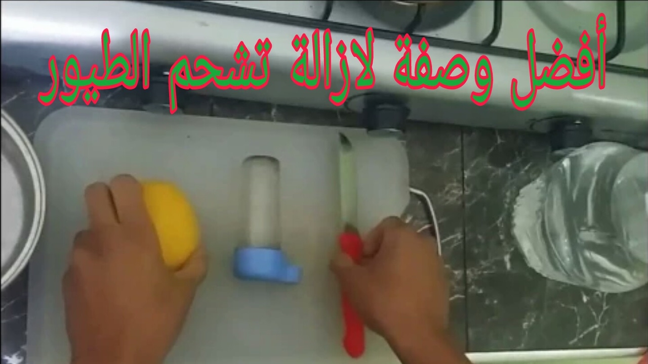 وصفة مجربة للقضاء على تشحم الطيور ( اهداء )